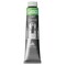 Maimeri Classico Oil Color - Permanent Green Light, 200 ml tube